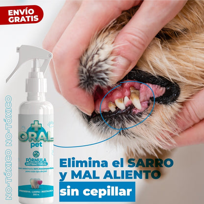 OralPet™ Dile Adiós Al Sarro - Limpieza bucal para mascotas - ENVÍO GRATIS 🎁