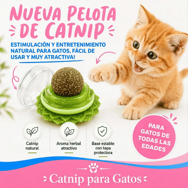 Pelota de Catnip Giratoria